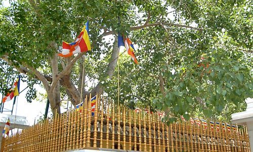 Things to do in anuradhapura