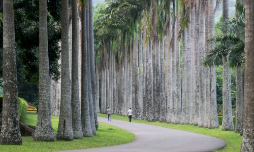Kandy in sri lanka